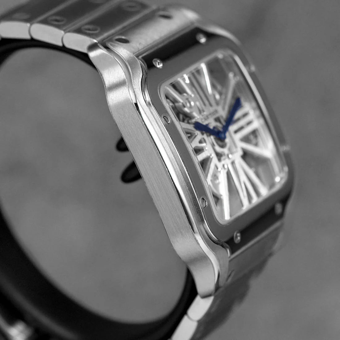SANTOS DE CARTIER L SKELETON DIAL