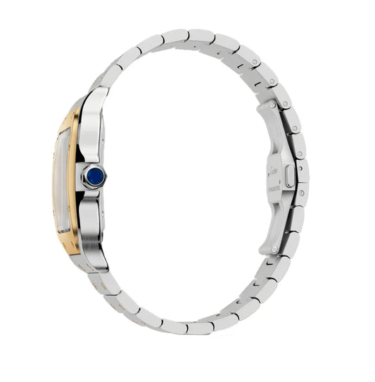 Cartier Santos Gold Silver Pour Homme